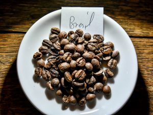 Présentation de grains de café Linda du Brésil, torréfaction et vente en Normandie