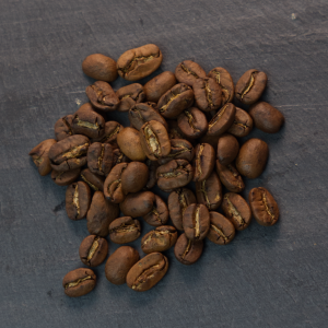 Présentation de grains de café Maragogype du Nicaragua, torréfaction et vente en Normandie