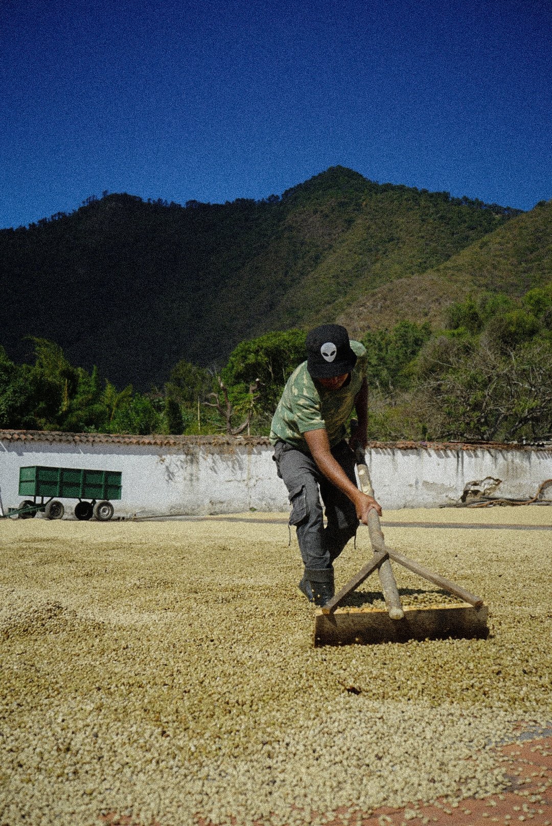 Le café et la santé : Mythes et réalités d&rsquo;une boisson millénaire